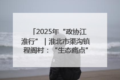 2025年“政协江淮行”｜淮北市渠沟镇程阁村：“生态痛点”变“生态景观”