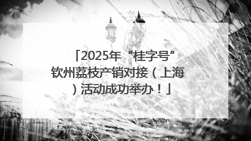 2025年“桂字号”钦州荔枝产销对接（上海）活动成功举办！