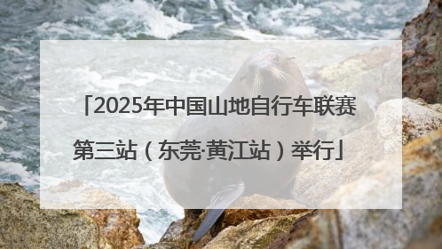 2025年中国山地自行车联赛第三站（东莞·黄江站）举行