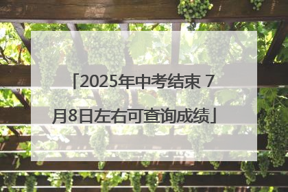 2025年中考结束 7月8日左右可查询成绩