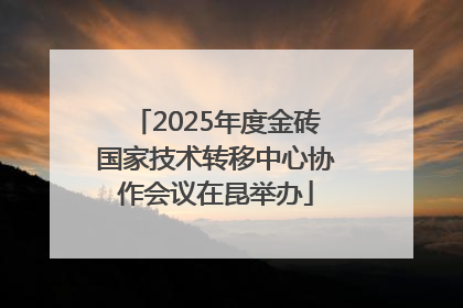2025年度金砖国家技术转移中心协作会议在昆举办