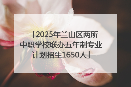 2025年兰山区两所中职学校联办五年制专业计划招生1650人