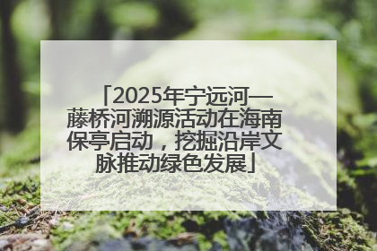 2025年宁远河—藤桥河溯源活动在海南保亭启动，挖掘沿岸文脉推动绿色发展