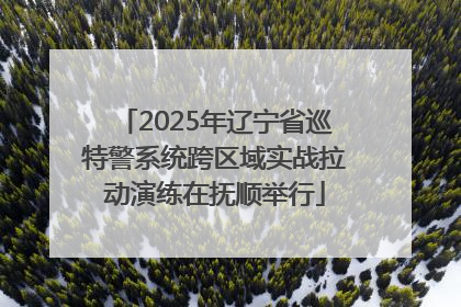 2025年辽宁省巡特警系统跨区域实战拉动演练在抚顺举行