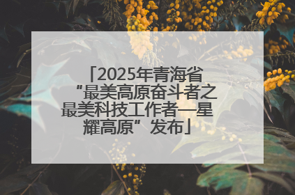2025年青海省“最美高原奋斗者之最美科技工作者—星耀高原”发布