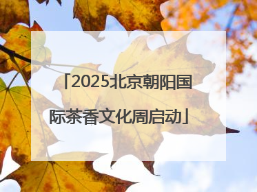2025北京朝阳国际茶香文化周启动