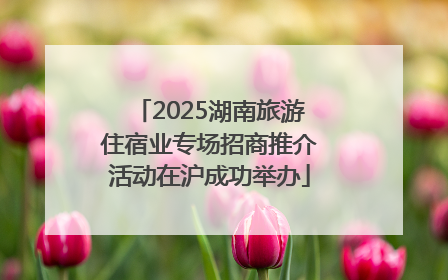 2025湖南旅游住宿业专场招商推介活动在沪成功举办