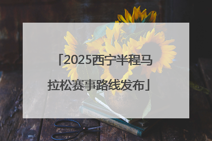 2025西宁半程马拉松赛事路线发布