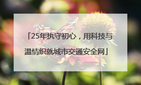 25年执守初心，用科技与温情织就城市交通安全网