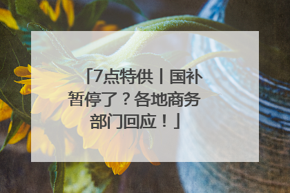 7点特供丨国补暂停了？各地商务部门回应！