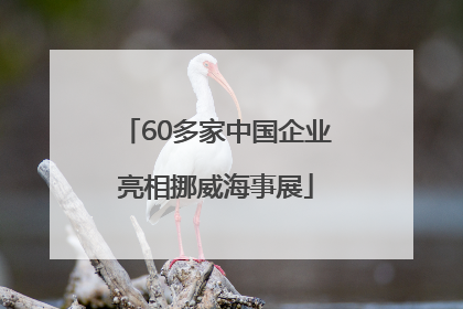 60多家中国企业亮相挪威海事展