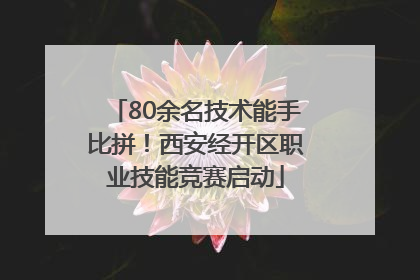 80余名技术能手比拼！西安经开区职业技能竞赛启动