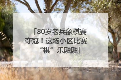 80岁老兵象棋赛夺冠！这场小区比赛“棋”乐融融