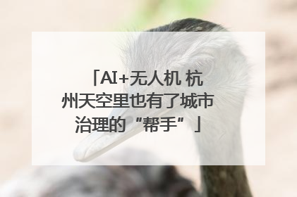 AI+无人机 杭州天空里也有了城市治理的“帮手”