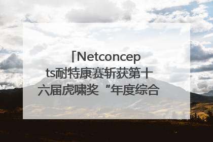 Netconcepts耐特康赛斩获第十六届虎啸奖“年度综合服务商”大奖